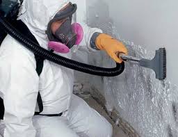 Best Environmental Consulting for Mold Prevention  in Waterville, NY